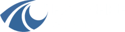 The Franchise Wave